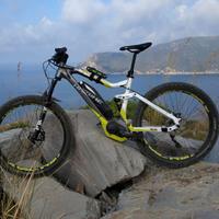 Bici elettrica