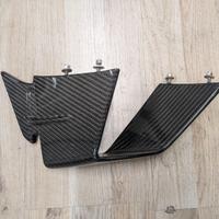 Ali Carena CARBONIO BMW S1000RR/M1000RR 2019-2022