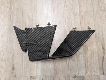 Ali Carena CARBONIO BMW S1000RR/M1000RR 2019-2022