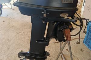 Motore fuoribordo Johnson GT25 35 cavalli