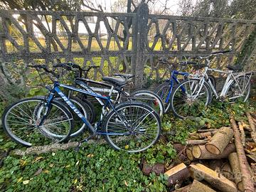 biclette leggere descrizione