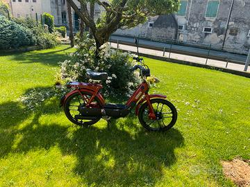 Ciao piaggio (TRATTABILE)