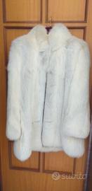 pelliccia volpe bianca