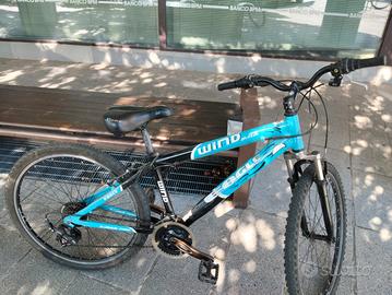 bicicletta 