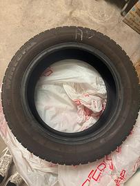 Gomme winter Tigar