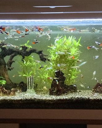 acquario 120 litri con mobile