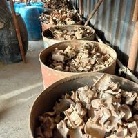 Giunti per ponteggio