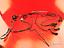 Immagine 26