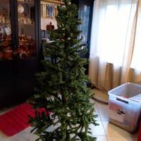 Albero di Natale 