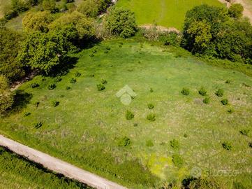 TER. AGRICOLO A VITERBO