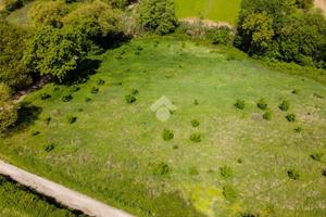 TER. AGRICOLO A VITERBO
