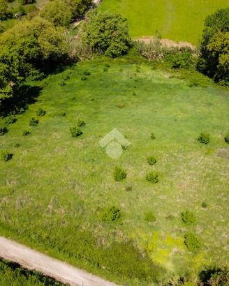 TER. AGRICOLO A VITERBO