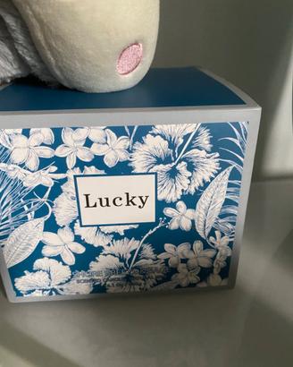 Candela nuova di design