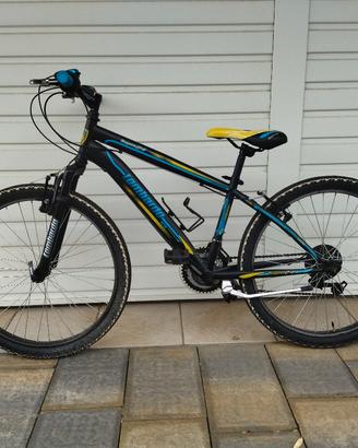 MTB TG 24 