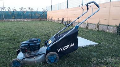 Tagliaerba a benzina