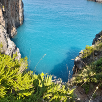 Parco I Delfini prima quindicina agos LAST MINUTE
