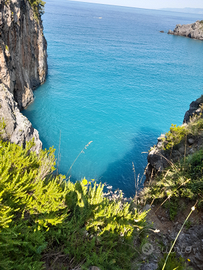 Parco I Delfini prima quindicina agos LAST MINUTE