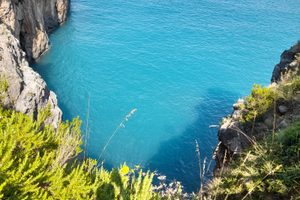 Parco I Delfini prima quindicina agos LAST MINUTE