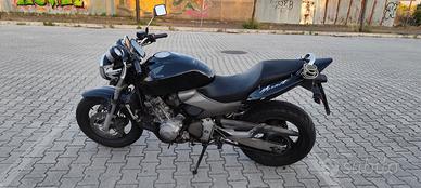 hornet 600 2004 