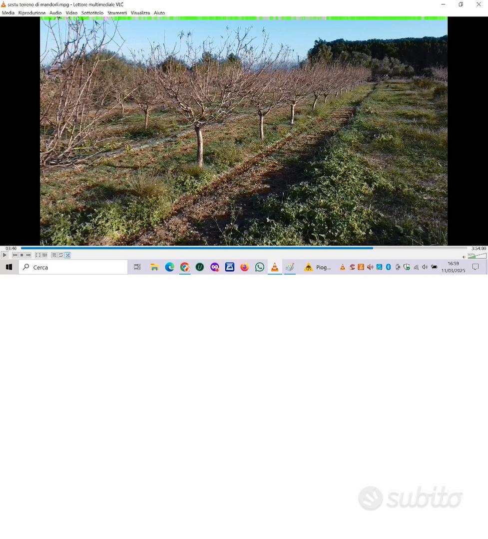 Terreno piantumato. MANDORLETO in produzione - Vista 3