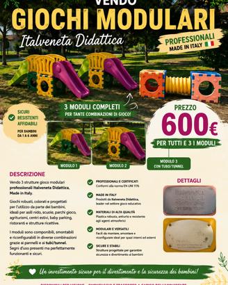 GIOCHI MODULARI PROFESSIONALI ITALVENETA DIDATTICA