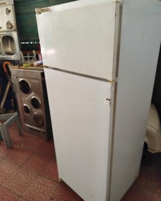 frigo 
