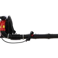 Soffiatore foglie da giardino