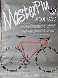 Colnago Master Più 
