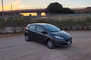 Ford Fiesta 1.2 60CV 5 porte Black & White Edition