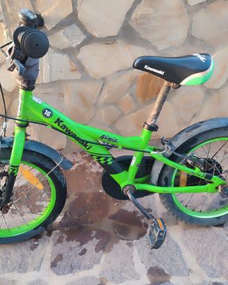 Bicicletta 16 pollici