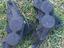 Immagine 2