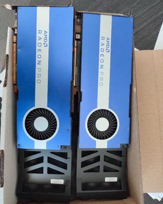 Scheda video AMD Radeon PRO W5500