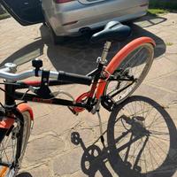 Bici raggio 24