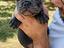 Immagine 3