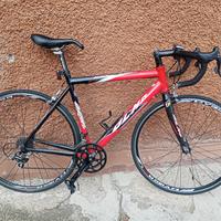 Olmo Impact F2 racing 