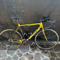 Bici Da Corsa Focus