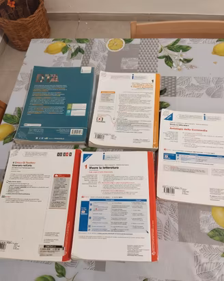Libri scolastici 