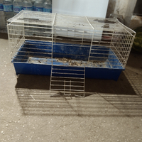 Gabbia per conigli nani