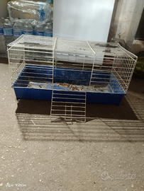 Gabbia per conigli nani