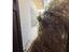 Immagine 18