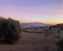 Terreno agricolo