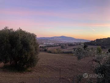 Terreno agricolo