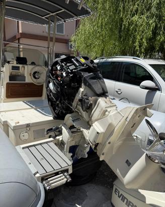 Evinrude e tec 115 cv
