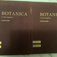 BOTANICA