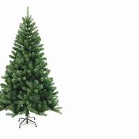 stock alberi di natale