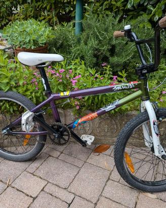 BMX Specialized