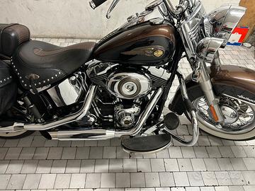 Harley Davidson 110 Anniversario