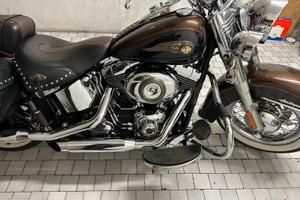 Harley Davidson 110 Anniversario