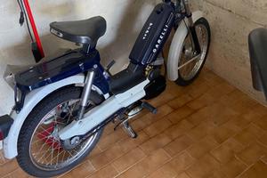 Garelli Altro modello