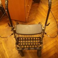 Deambulatore (girello)